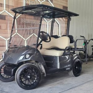 2022 Yamaha Drive2 48v | $4,485