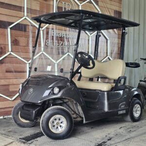 2022 Yamaha Drive2 48v | $2,995