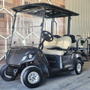 2023 Yamaha Drive2 48v | $3,485