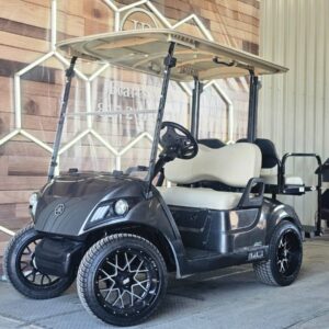 New Lithium 2022 Yamaha Drive2 48v | $6,485